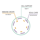 cicé Cell Support Duo