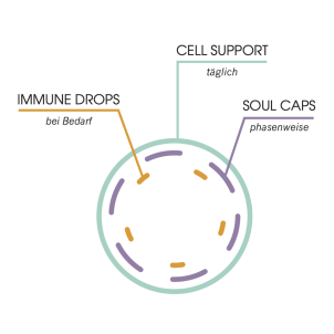 cic&eacute; Cell Support